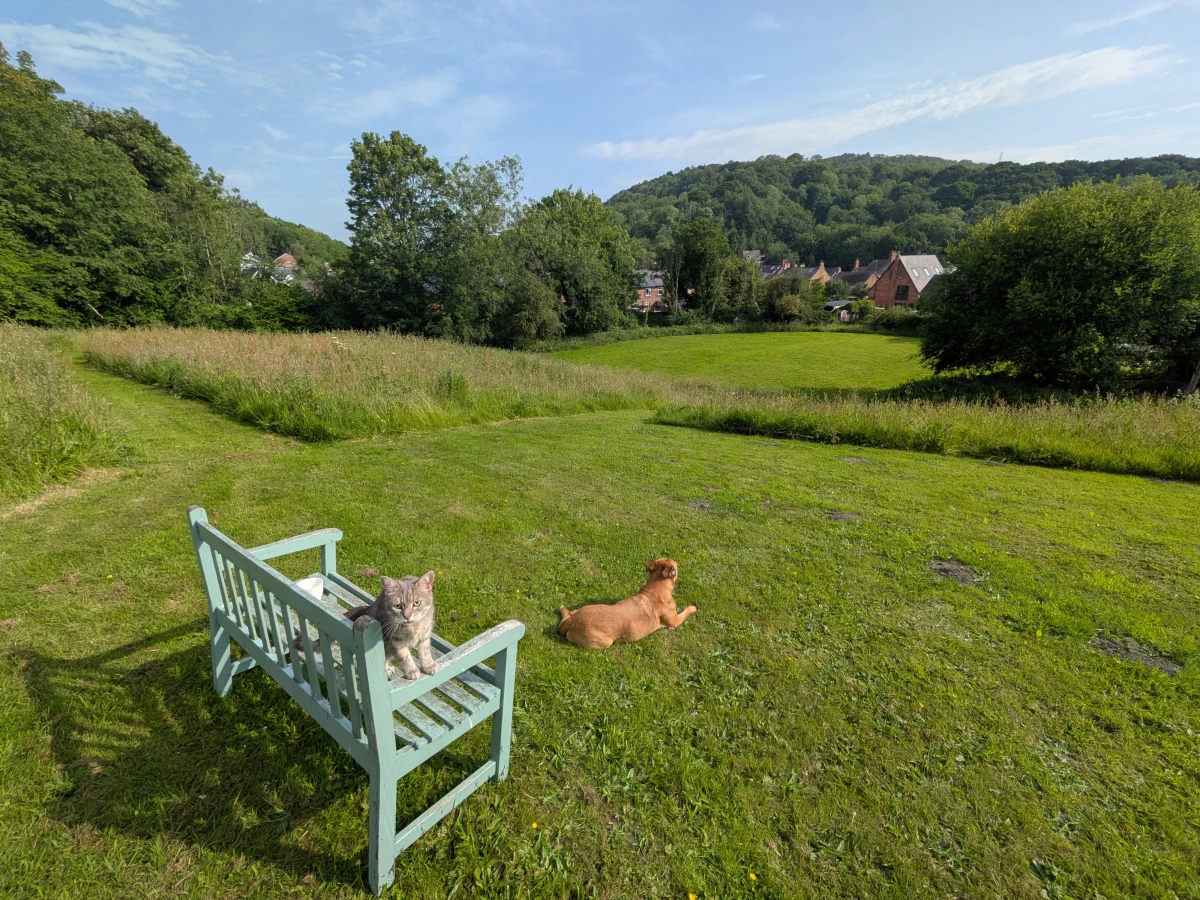 pxl_20250621_075028764